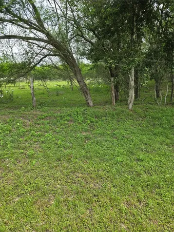 256 Park Road 38 San Felipe TX 77474