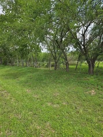 256 Park Road 38 San Felipe TX 77474