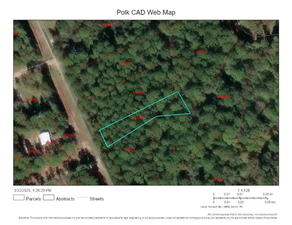 Lot 308 N/2 Lumbermans Road Onalaska TX 77360