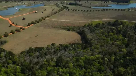136-137 Lot 136-137 Royal Oak Drive Hillister TX 77624