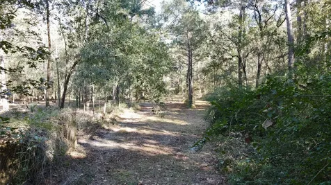 585 County Road 3796 Cleveland TX 77328