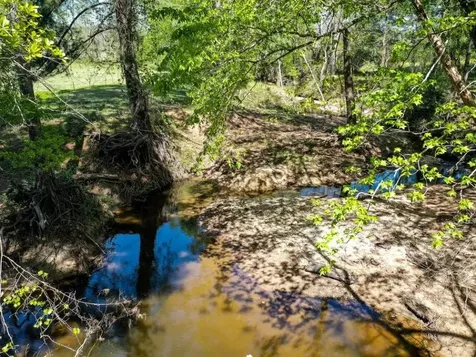 0 Black Jack Cemetery Road Huntsville TX 77340
