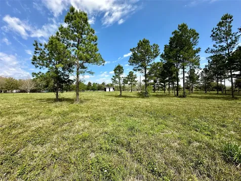 4304 Fcr 78 Rosharon TX 77583