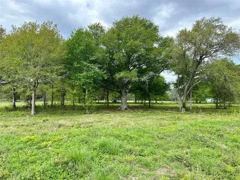 4304 Fcr 78 Rosharon TX 77583