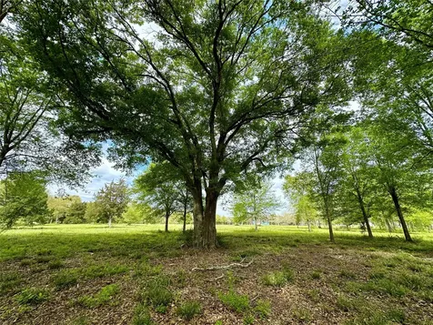 4304 Fcr 78 Rosharon TX 77583