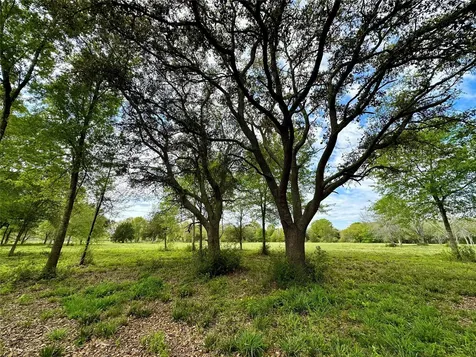 4304 Fcr 78 Rosharon TX 77583