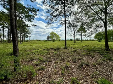 4304 Fcr 78 Rosharon TX 77583