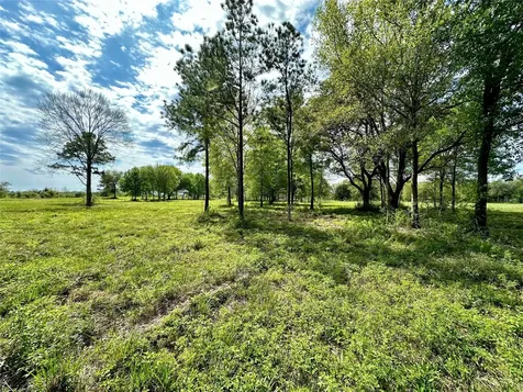 4304 Fcr 78 Rosharon TX 77583