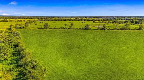 L202905 Fm 350 S Livingston TX 77351