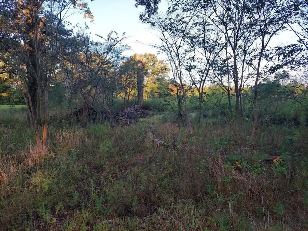 2018 County Road 4009 New Boston TX 75570