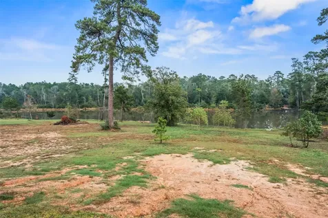 11755 Oakwood Ranch Drive Willis TX 77378