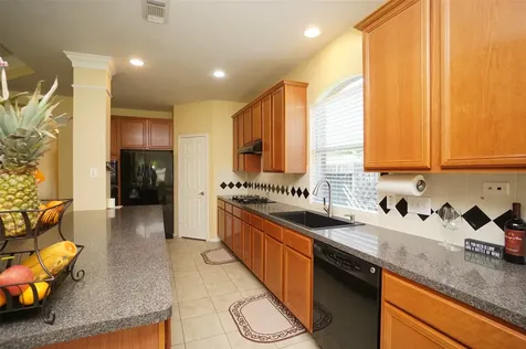 26518 Blanchard Grove Drive Katy TX 77494