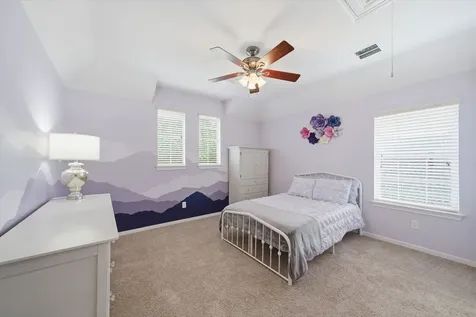 28506 Blue Holly Lane Katy TX 77494