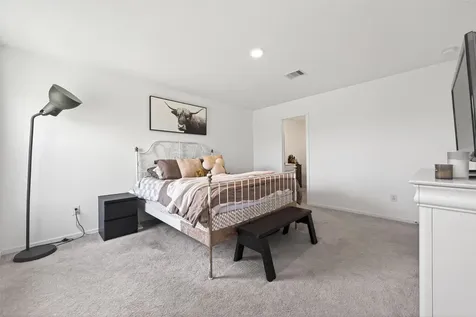 26630 Pampas Grass Lane Katy TX 77493