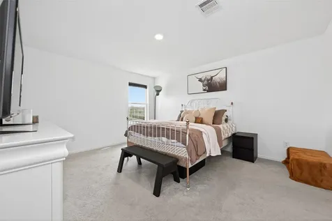 26630 Pampas Grass Lane Katy TX 77493