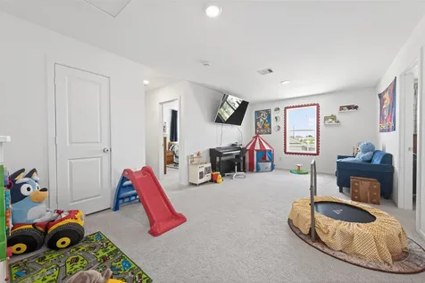 26630 Pampas Grass Lane Katy TX 77493