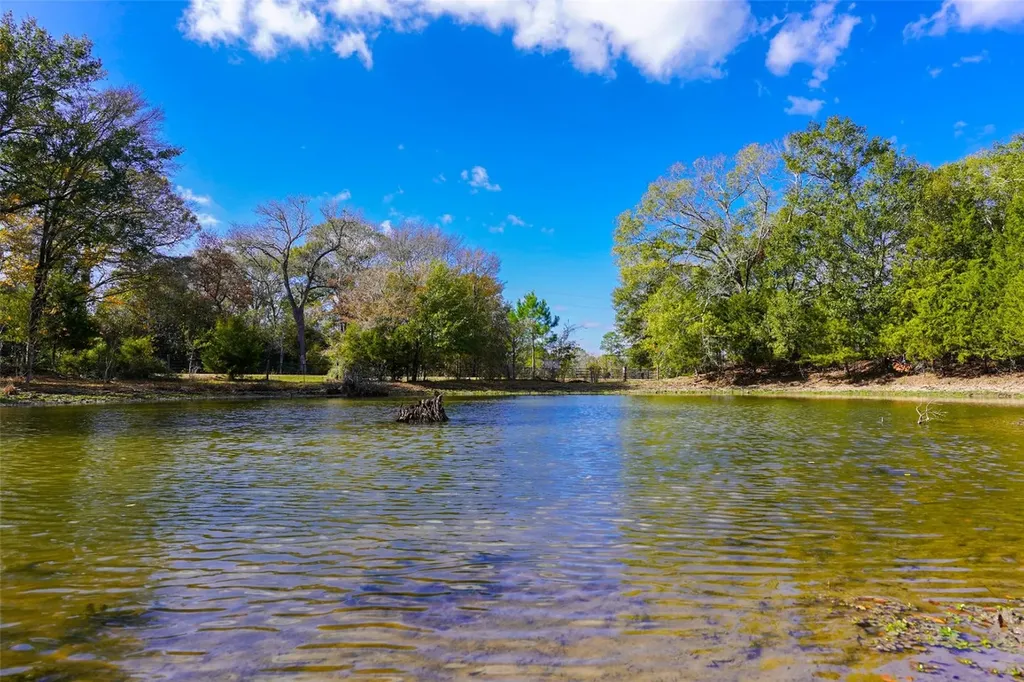 31174 Courtney Road Waller TX 77484
