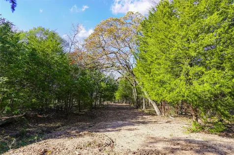 31174 Courtney Road Waller TX 77484