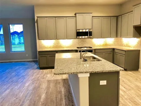 4814 Vergano Villa Drive Katy TX 77493