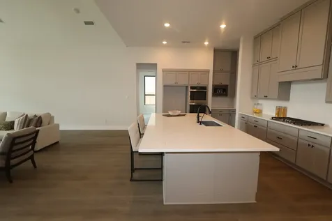 22106 Dion Skipper Way Cypress TX 77433