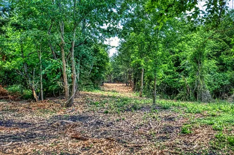 Lot 8 Wonder Hill Road Chappell Hill TX 77426