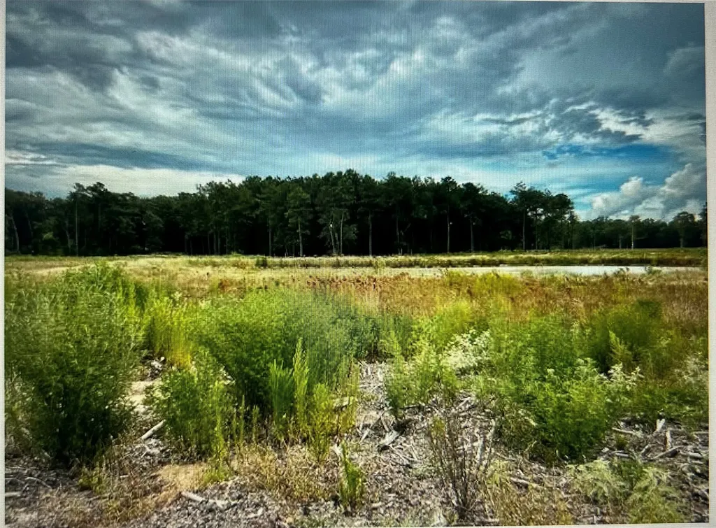 Tbd Lot 3 County Road 2184 Cleveland TX 77327
