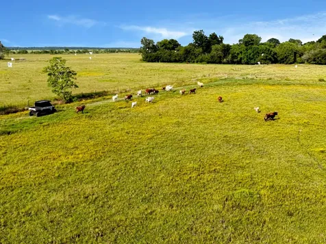 000 Highway 65 Anahuac TX 77514