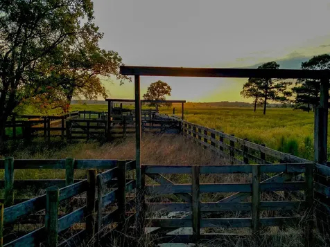 000 Highway 65 Anahuac TX 77514