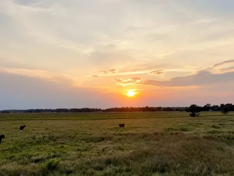 000 Highway 65 Anahuac TX 77514