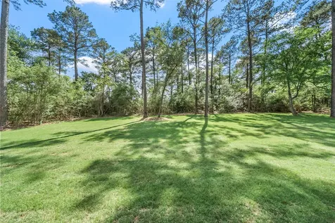 8680 Cedar Meadow Lane Plantersville TX 77363