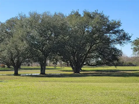 28302 Piney Corners Waller TX 77484