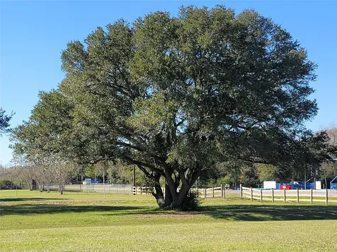 28302 Piney Corners Waller TX 77484