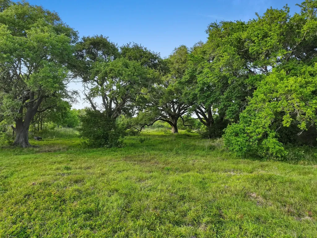 2187 Old Mexico Road High Island TX 77623