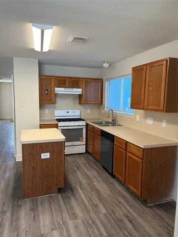 11915 Sanspereil Drive Houston TX 77047