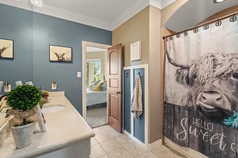3103 Wellspring Lake Drive Fulshear TX 77441