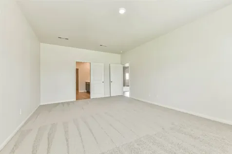 1123 Rare Fancy Drive Iowa Colony TX 77583