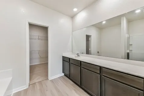 1123 Rare Fancy Drive Iowa Colony TX 77583