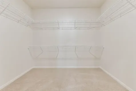 1123 Rare Fancy Drive Iowa Colony TX 77583
