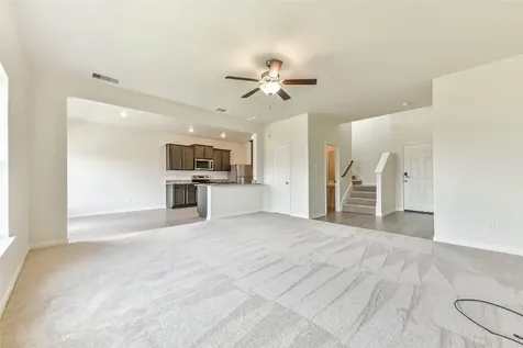 1123 Rare Fancy Drive Iowa Colony TX 77583
