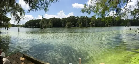 201 Cypress Lakes Circle Cleveland TX 77327
