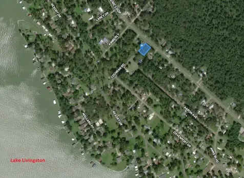 133 Ernest Cochran Road Livingston TX 77351