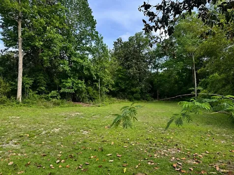505 E George Jones Road Livingston TX 77351
