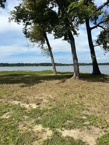 3709 Pine Wood Trail Larue TX 75770