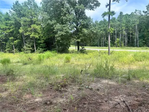 3709 Pine Wood Trail Larue TX 75770