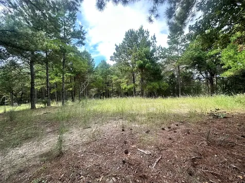 3709 Pine Wood Trail Larue TX 75770