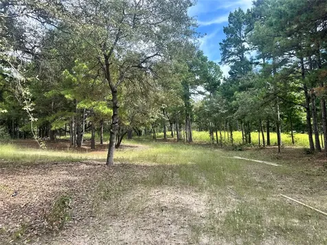 3709 Pine Wood Trail Larue TX 75770