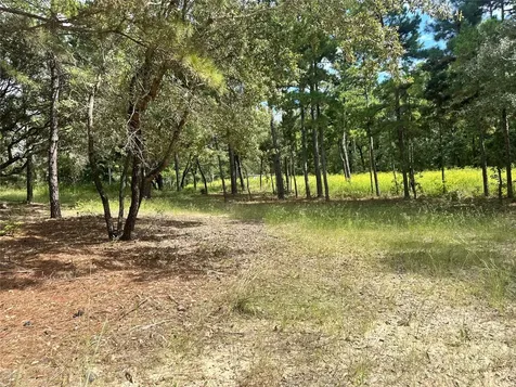 3709 Pine Wood Trail Larue TX 75770