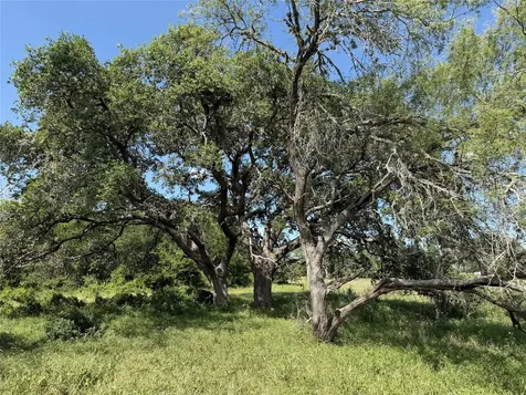 TBD3 Farm To Market Road 532 Weimar TX 78962