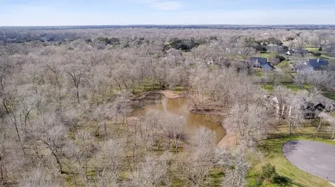 31419 Blue Heron Lane Fulshear TX 77441