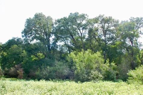 9590 Maynard Hallmark Road Flatonia TX 78941